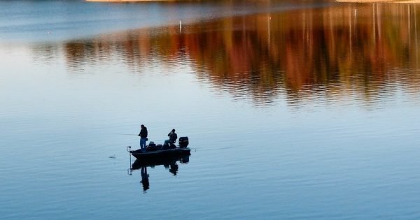 6F44Abe7C4840222C1Cb446C9006Fd0F