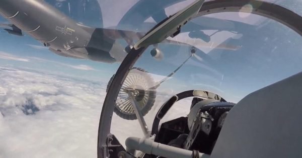 8761Cc9674Ff4E575F6596C10F292F54