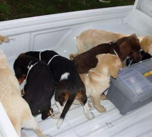 9Df68Abefcaadb32C3A09F13C16D7786