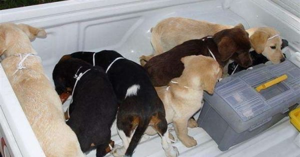 9Df68Abefcaadb32C3A09F13C16D7786