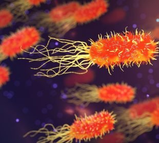 Fd83Ae9383F0B6864De208A26C8060D8