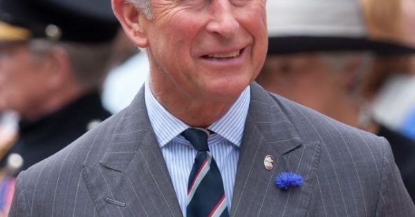 Ffad60Bff660E638A02D1A9635498682