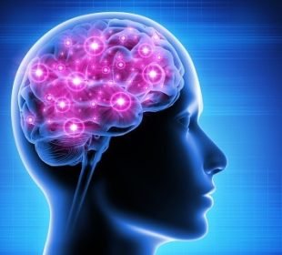 58F6Bac3906F0Ebd0184C4F10C981Eff 1 1