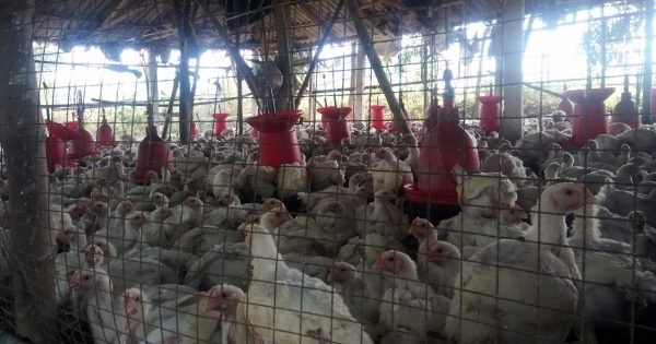 8A01E8924Fdd5C7886Dfb36D22784B7B