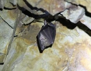 8B9Fbf2330E1603Ece4A2Fb615A5Fdec