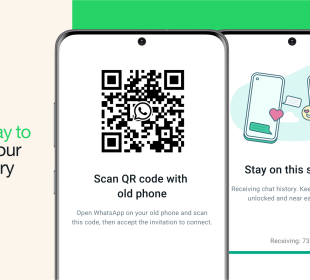 English Whatsapp Chat Transfer