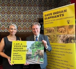 Whatsapp Image 2023 06 27 At 08.31.38 Zkxig6S