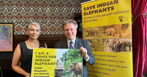 Whatsapp Image 2023 06 27 At 08.31.38 Zkxig6S